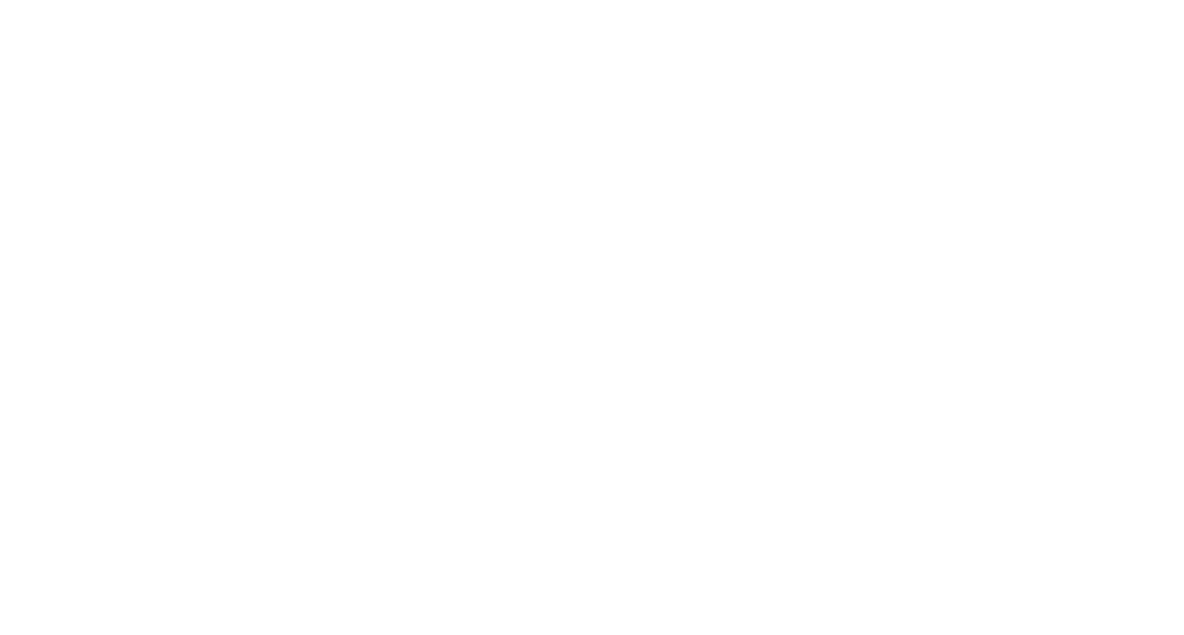 Una Notte per Faber